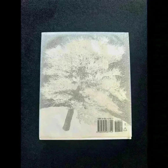 Stopping by Woods on a Snowy Evening by Robert Frost - Picture 5 of 5